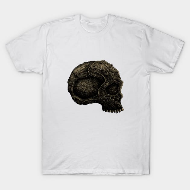 skull art T-Shirt by HornArt